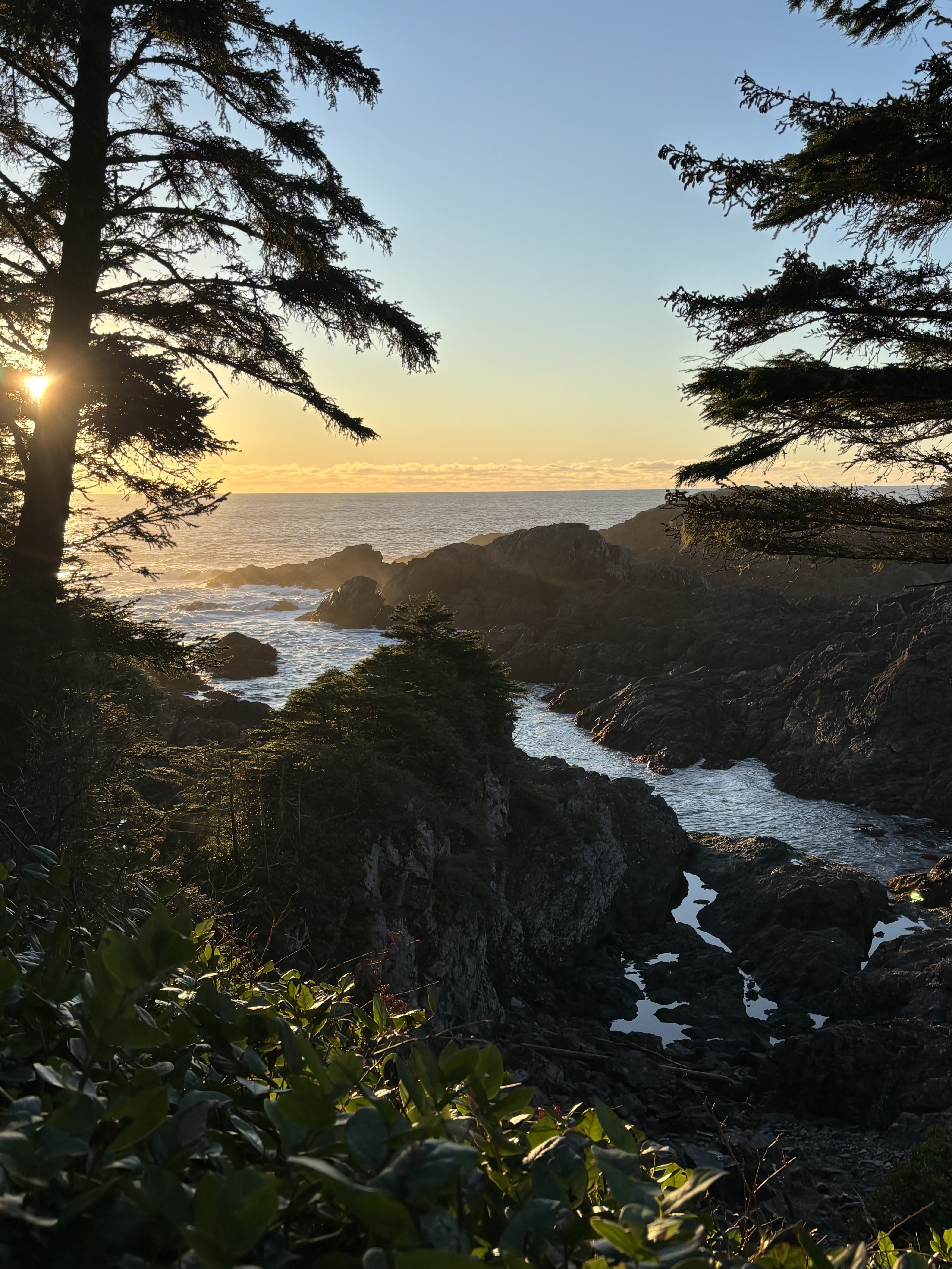 Evening light on the Pacific coast near Victoria, British Columbia